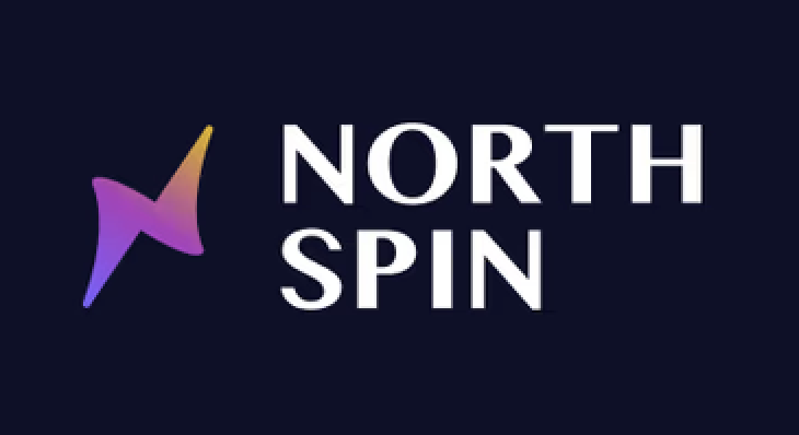 NorthSpin logo